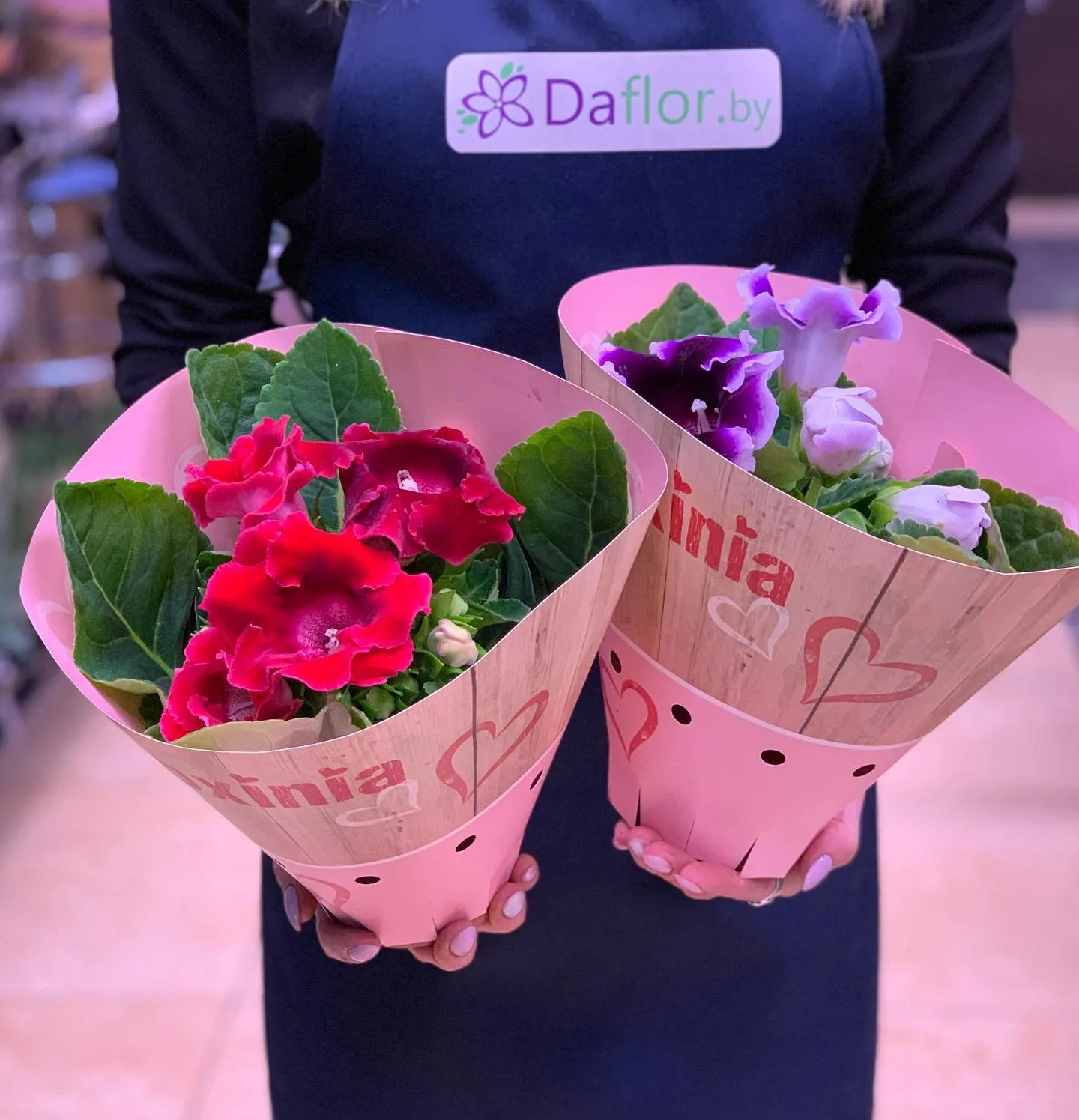 картинка Глоксиния Р336 от магазина daflor
