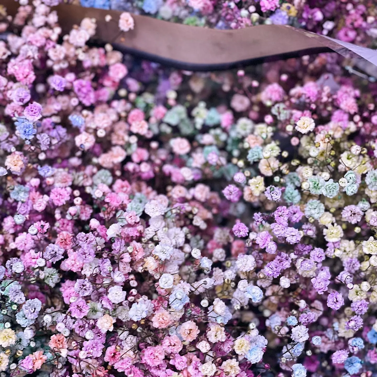 картинка Букет из гипсофилы Gypsophila Rainbow от магазина daflor