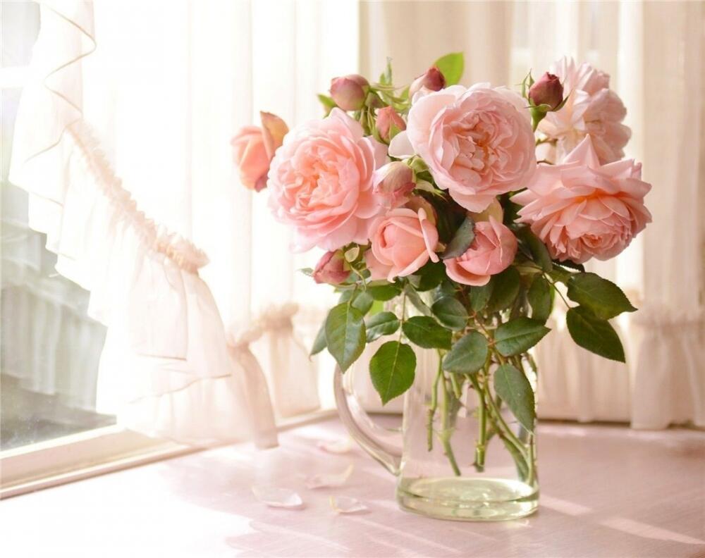 Как сохранить срезанные розы в вазе свежими надолго?